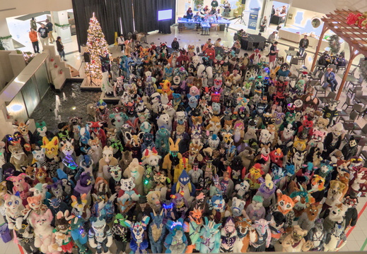 Furcons