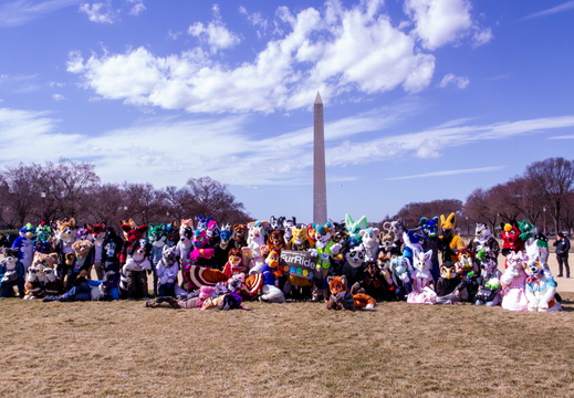Furmeets