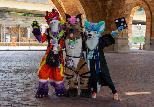 Furcons