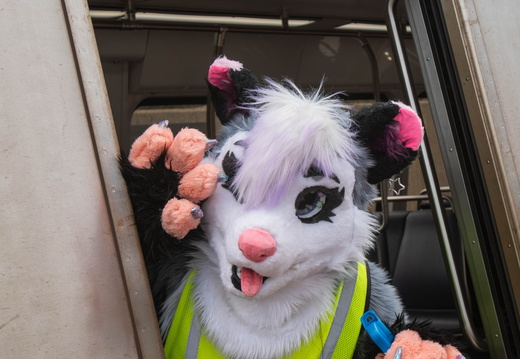 Furmeets