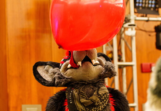 Furcons